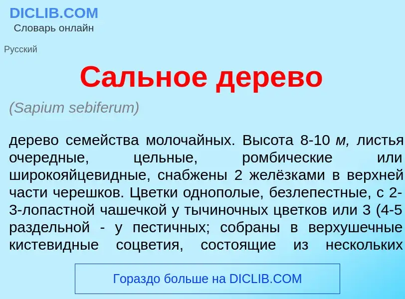 What is С<font color="red">а</font>льное д<font color="red">е</font>рево - meaning and definition