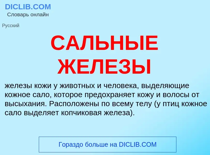 ¿Qué es САЛЬНЫЕ ЖЕЛЕЗЫ? - significado y definición