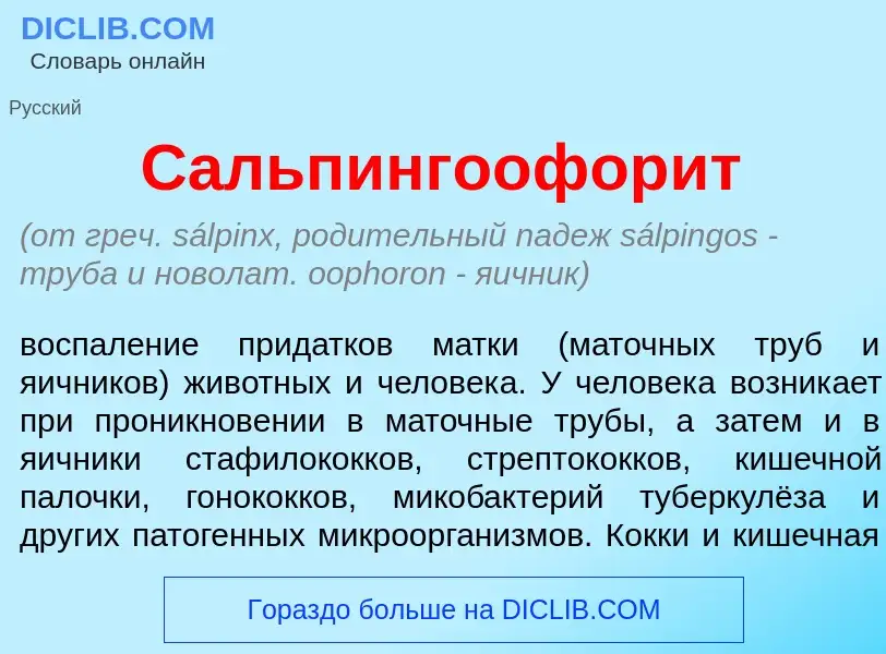 Qu'est-ce que Сальпингоофор<font color="red">и</font>т - définition