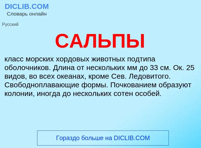 Что такое САЛЬПЫ - определение