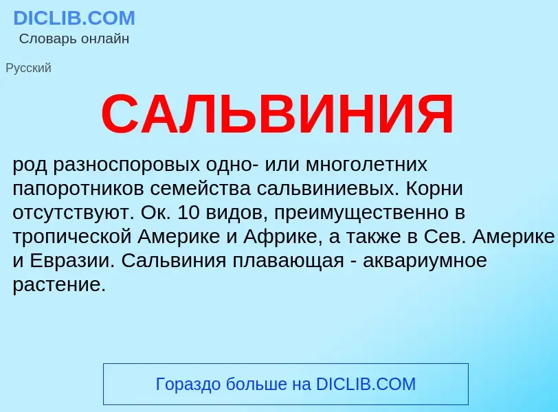 Wat is САЛЬВИНИЯ - definition