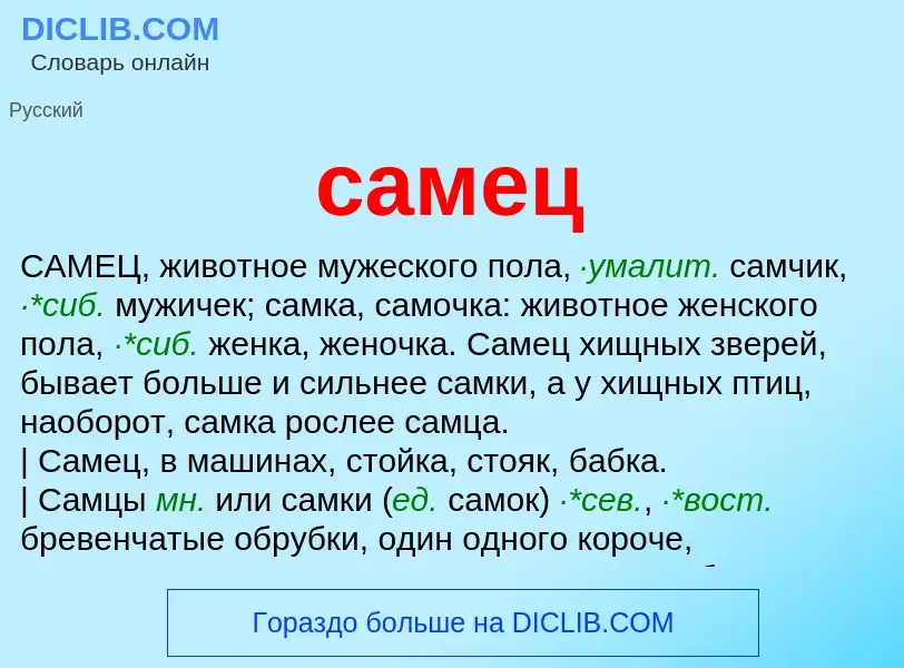 What is самец - meaning and definition