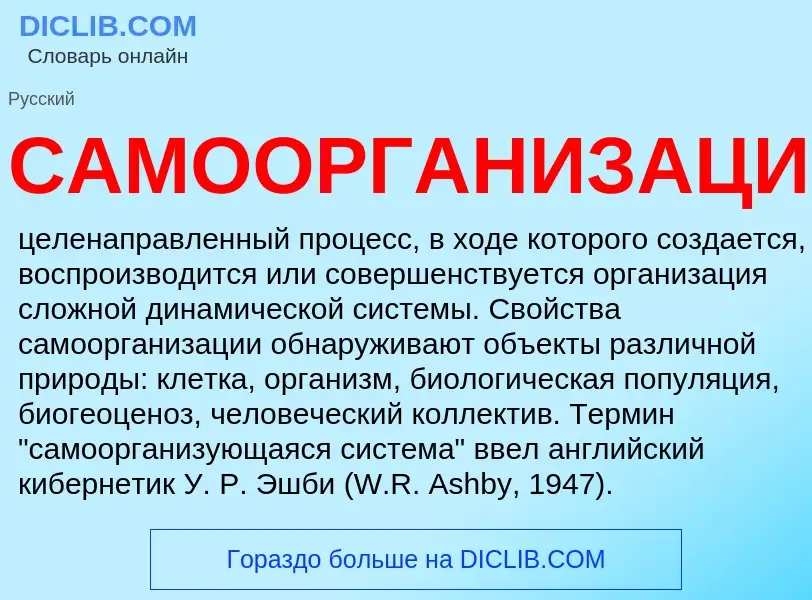 O que é САМООРГАНИЗАЦИЯ - definição, significado, conceito