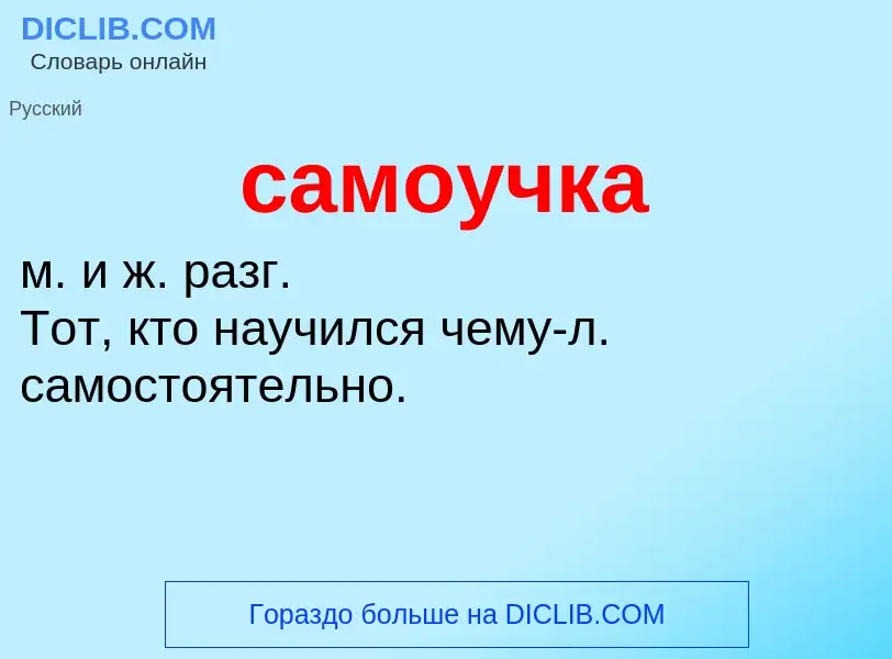 What is самоучка - meaning and definition