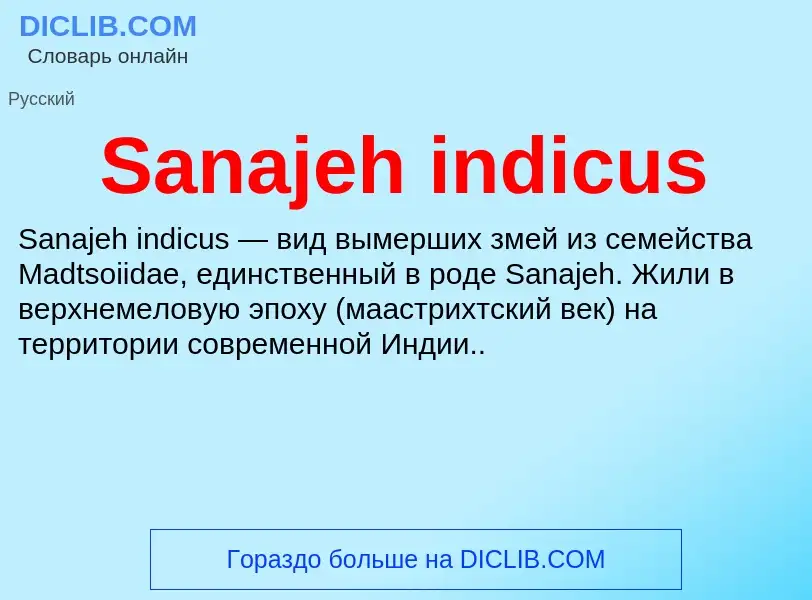 ¿Qué es Sanajeh indicus? - significado y definición