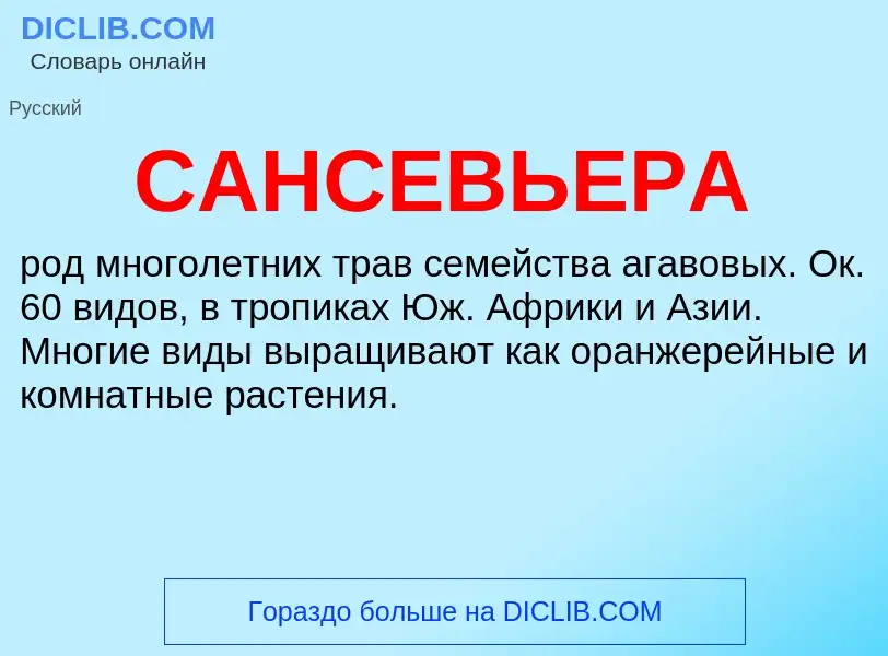 What is САНСЕВЬЕРА - meaning and definition