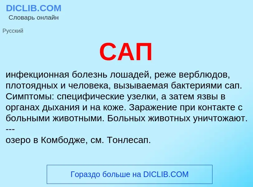 ¿Qué es САП? - significado y definición