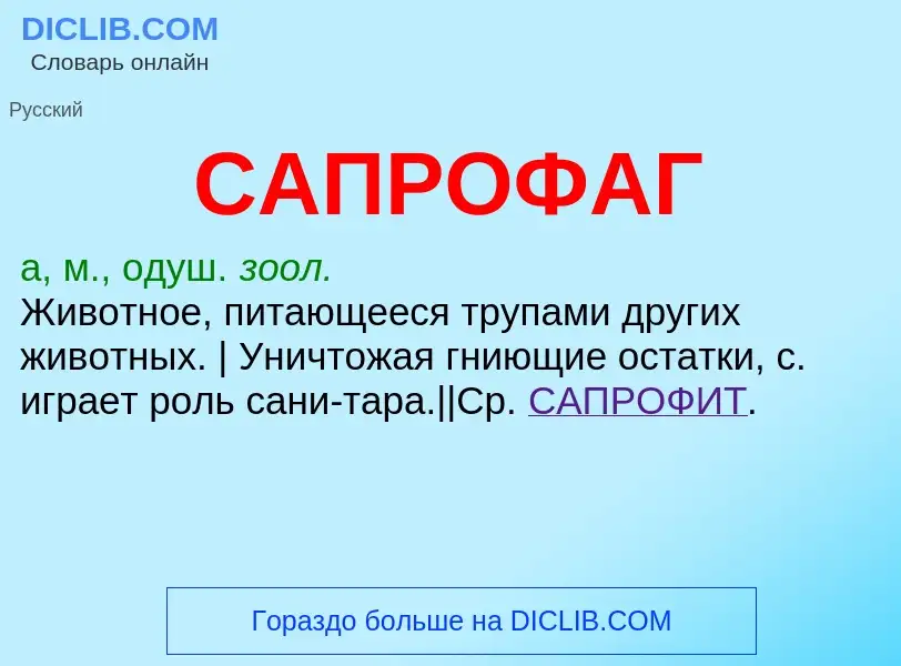 What is САПРОФАГ - meaning and definition