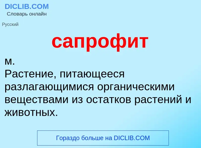 Что такое сапрофит - определение