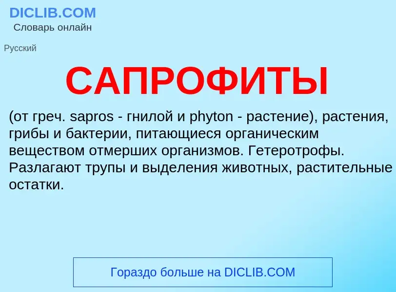 Что такое САПРОФИТЫ - определение