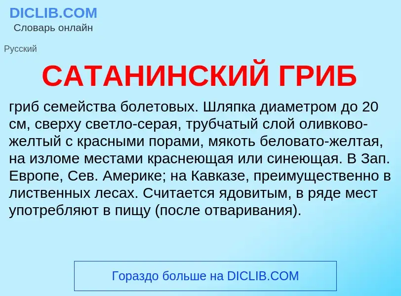 Che cos'è САТАНИНСКИЙ ГРИБ - definizione