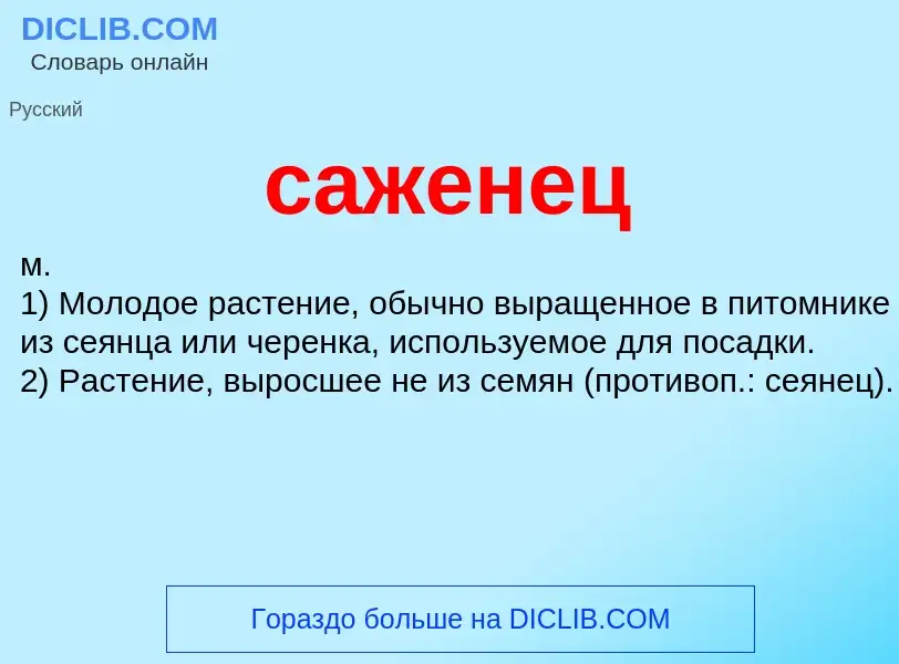 ¿Qué es саженец? - significado y definición