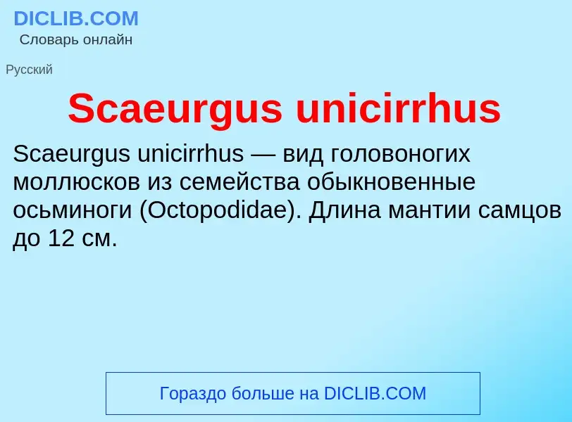 ¿Qué es Scaeurgus unicirrhus? - significado y definición