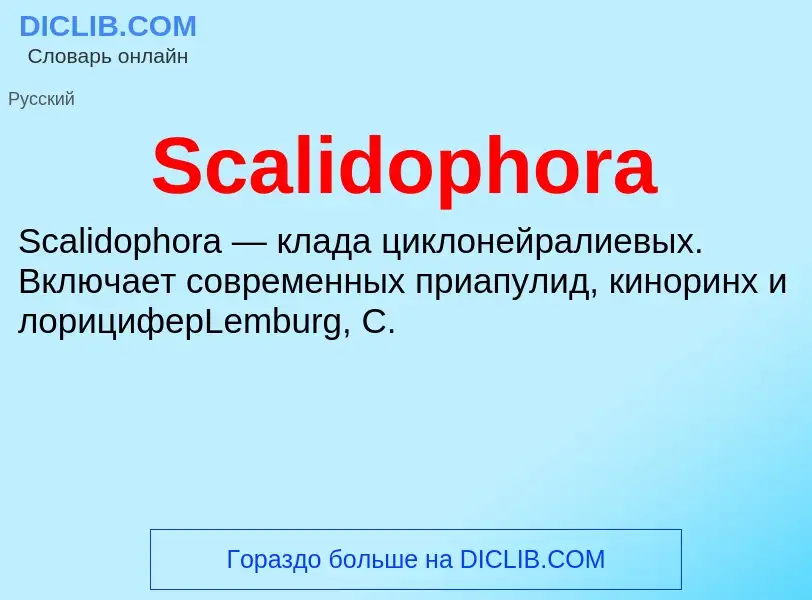 ¿Qué es Scalidophora? - significado y definición