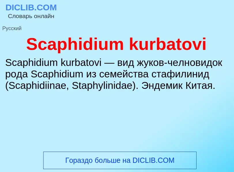 ¿Qué es Scaphidium kurbatovi? - significado y definición