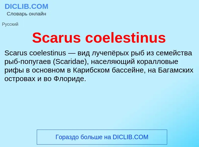 ¿Qué es Scarus coelestinus? - significado y definición