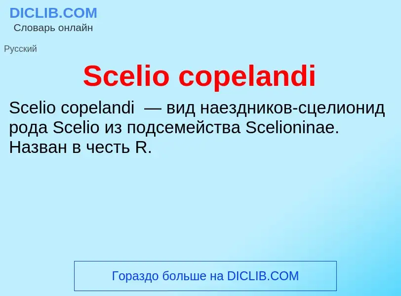 ¿Qué es Scelio copelandi? - significado y definición