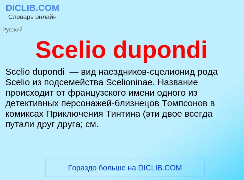 ¿Qué es Scelio dupondi? - significado y definición