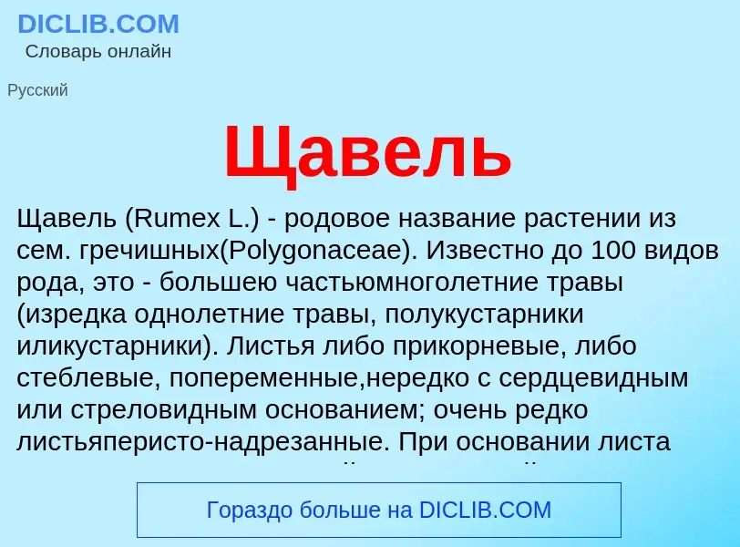 What is Щавель - definition