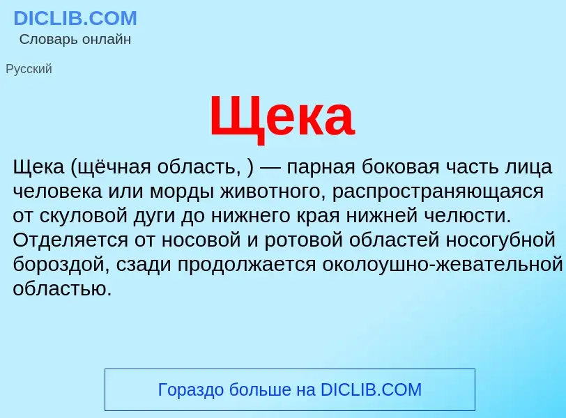 What is Щека - definition