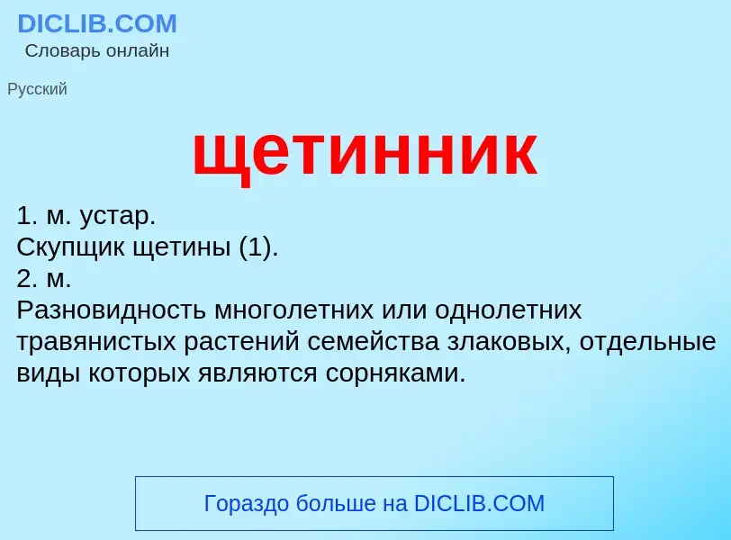 Что такое щетинник - определение