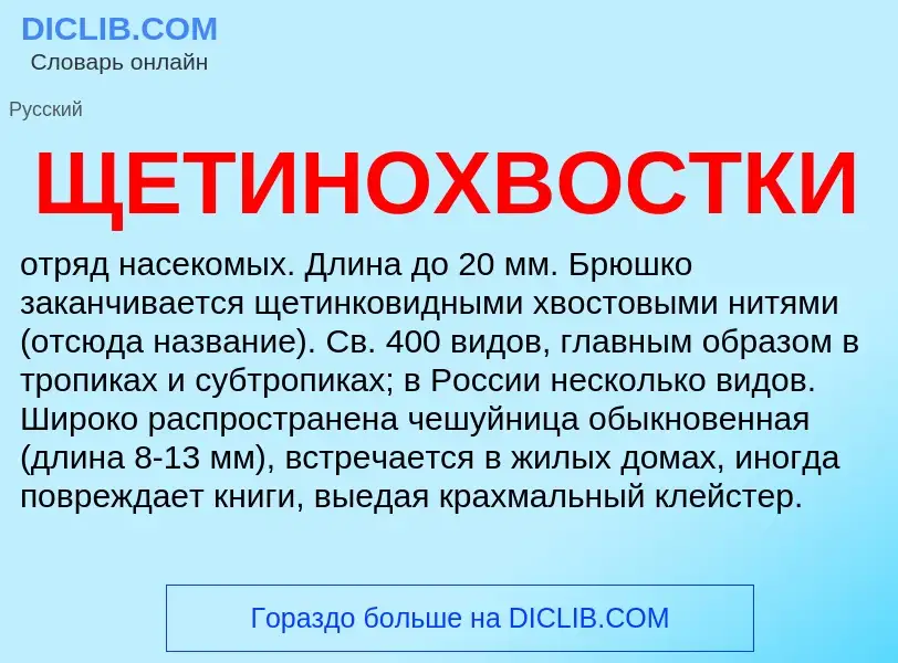 What is ЩЕТИНОХВОСТКИ - definition