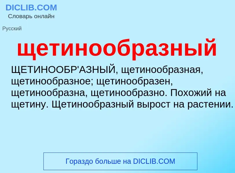 ¿Qué es щетинообразный? - significado y definición