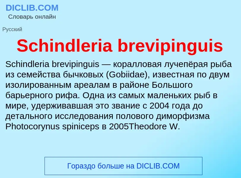 ¿Qué es Schindleria brevipinguis? - significado y definición