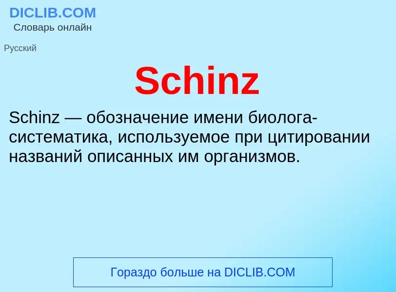 ¿Qué es Schinz? - significado y definición