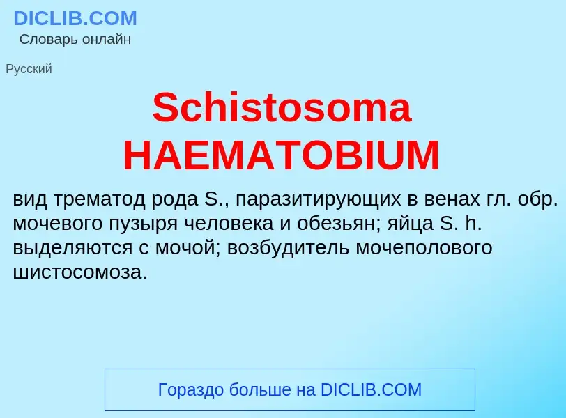 ¿Qué es Schistosoma HAEMATOBIUM? - significado y definición