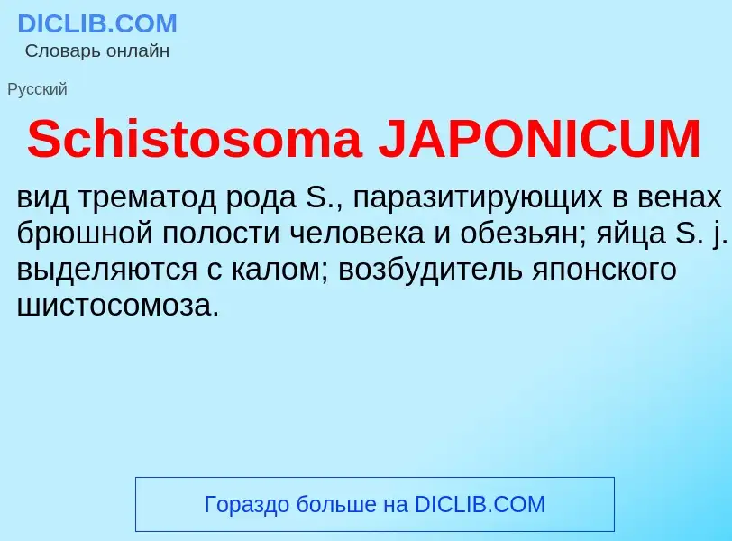 ¿Qué es Schistosoma JAPONICUM? - significado y definición