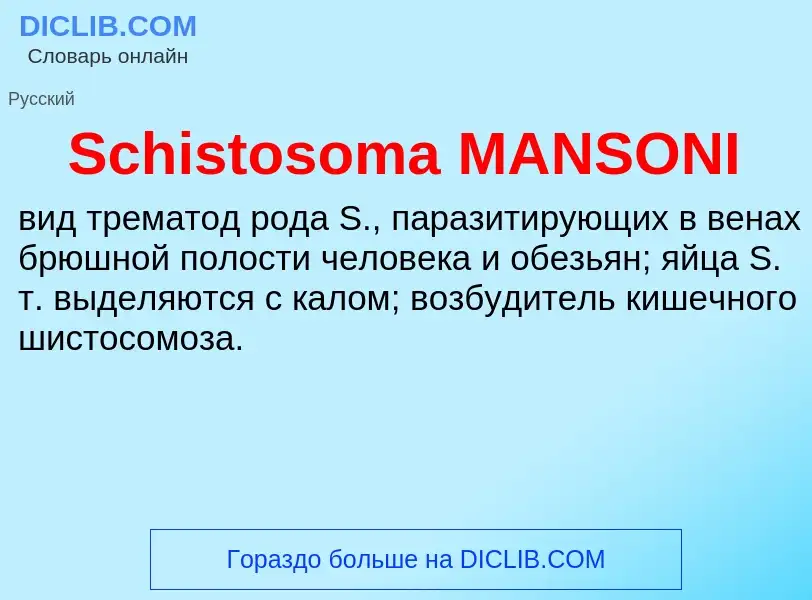 ¿Qué es Schistosoma MANSONI? - significado y definición