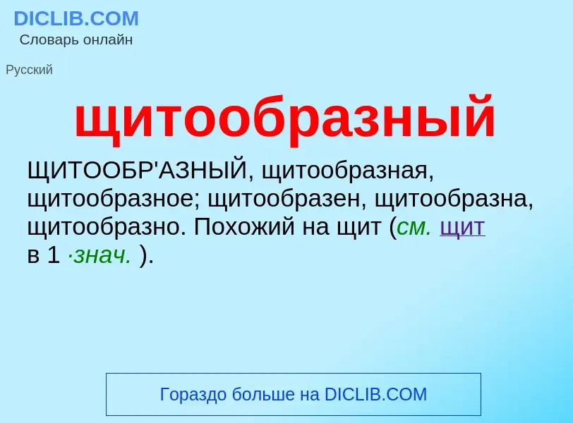 ¿Qué es щитообразный? - significado y definición