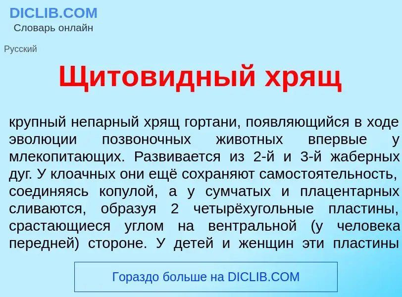 Что такое Щитов<font color="red">и</font>дный хрящ - определение