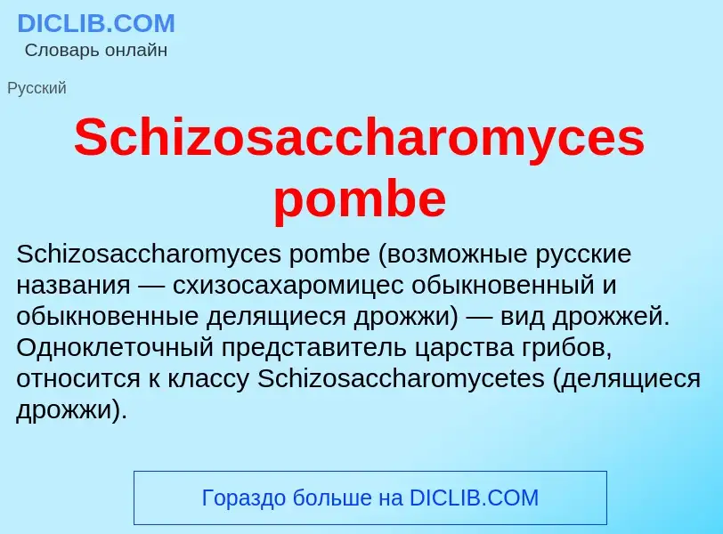 ¿Qué es Schizosaccharomyces pombe? - significado y definición