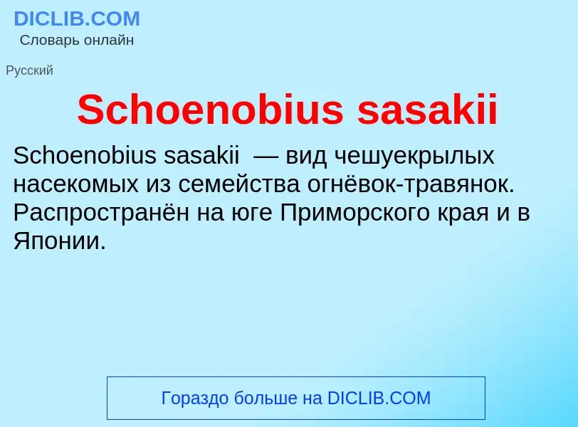 ¿Qué es Schoenobius sasakii? - significado y definición