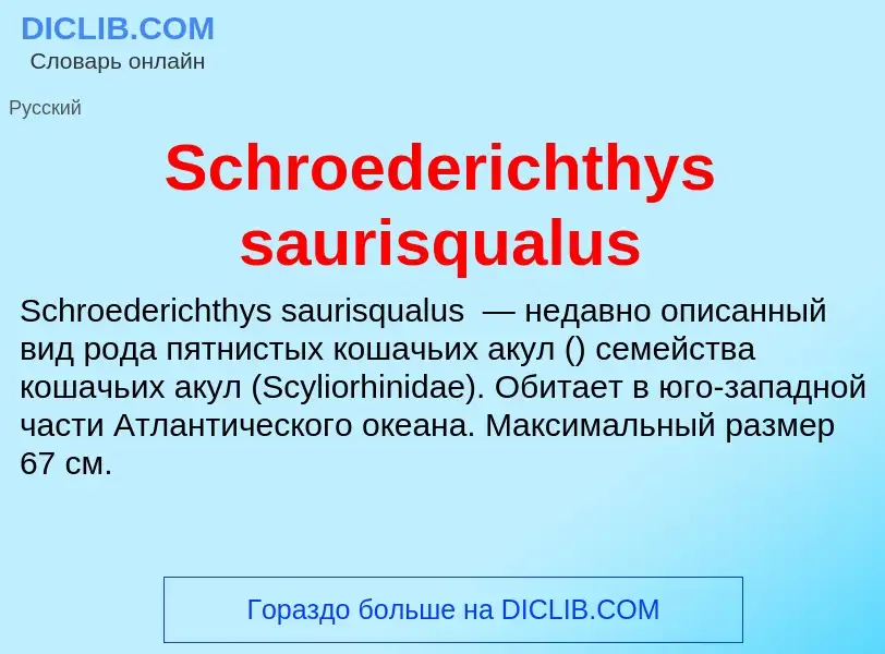 ¿Qué es Schroederichthys saurisqualus? - significado y definición