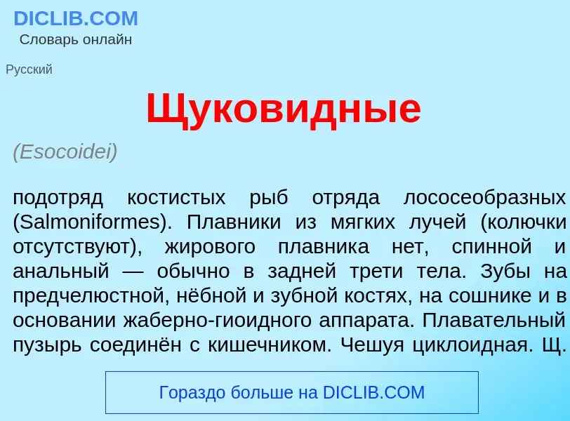 Что такое Щуков<font color="red">и</font>дные - определение