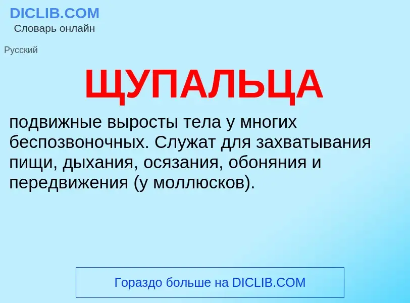 ¿Qué es ЩУПАЛЬЦА? - significado y definición