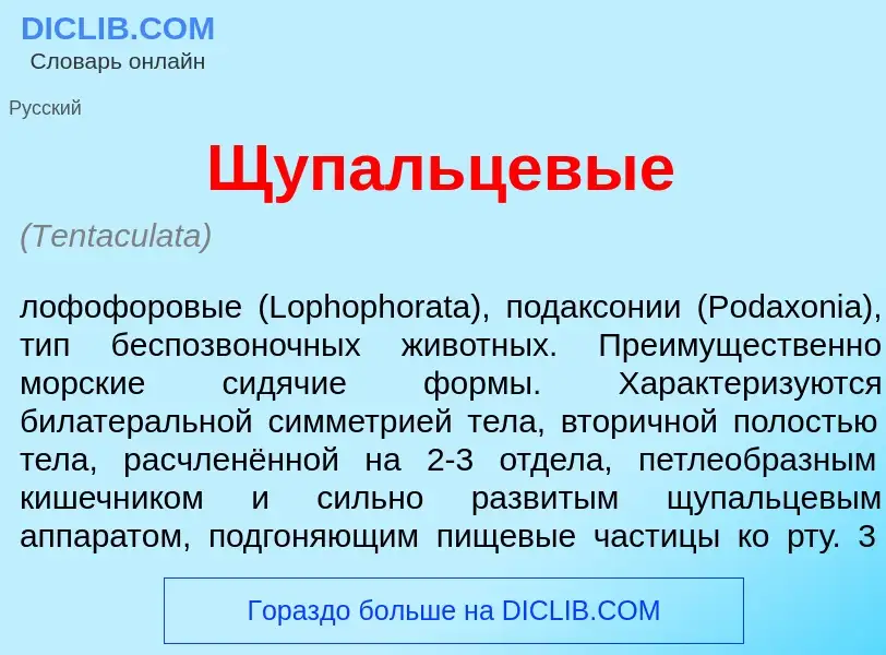 Что такое Щ<font color="red">у</font>пальцевые - определение