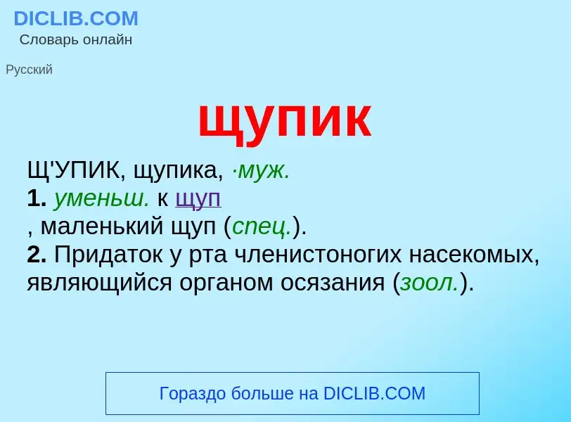 Что такое щупик - определение