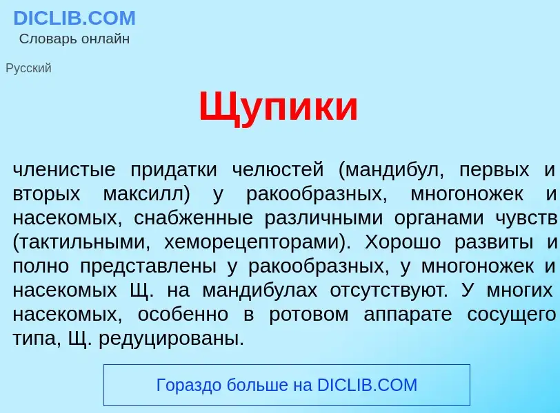 Что такое Щ<font color="red">у</font>пики - определение