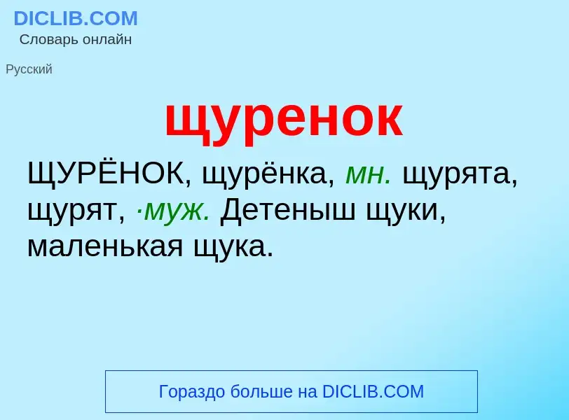 ¿Qué es щуренок? - significado y definición