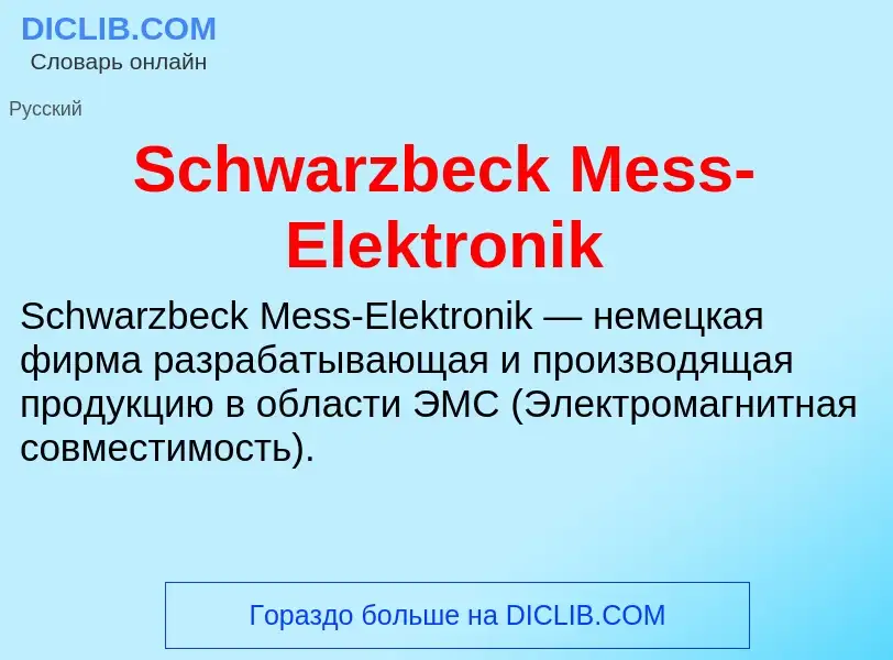 ¿Qué es Schwarzbeck Mess-Elektronik? - significado y definición