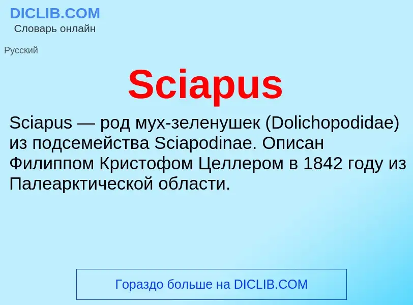 ¿Qué es Sciapus? - significado y definición