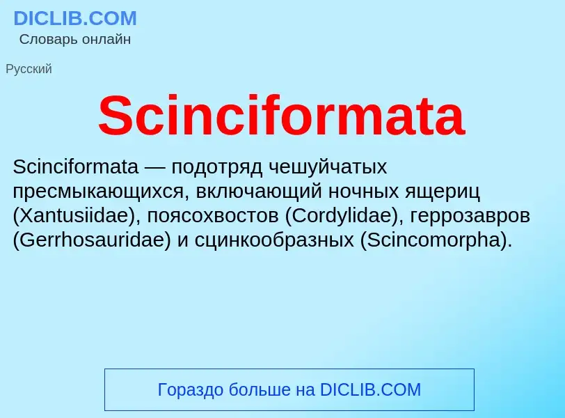 ¿Qué es Scinciformata? - significado y definición