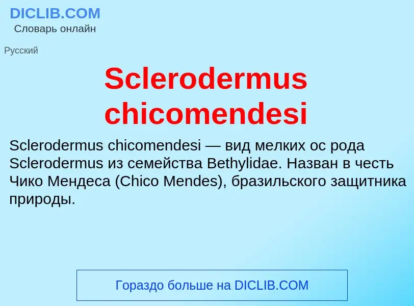 ¿Qué es Sclerodermus chicomendesi? - significado y definición