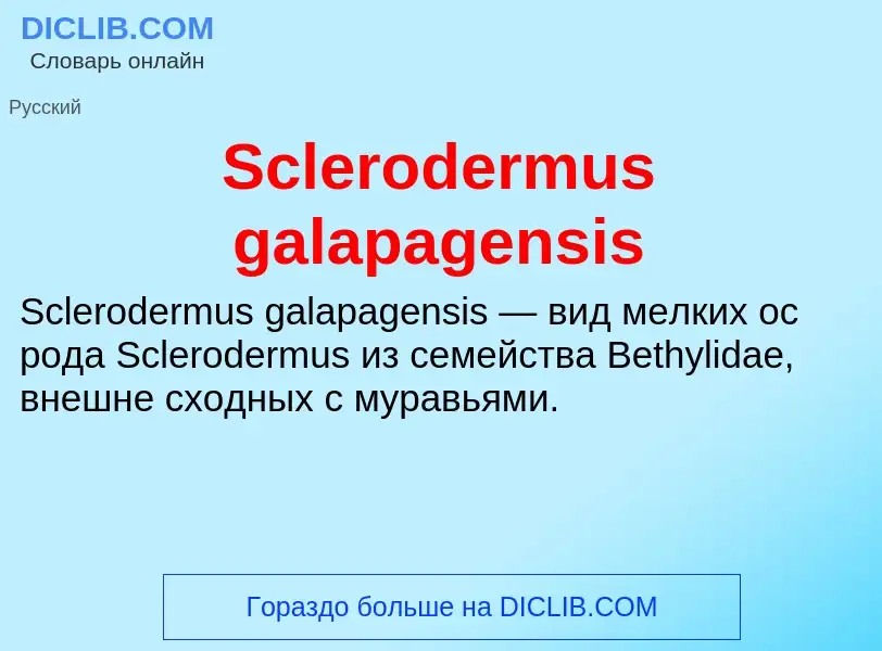 ¿Qué es Sclerodermus galapagensis? - significado y definición