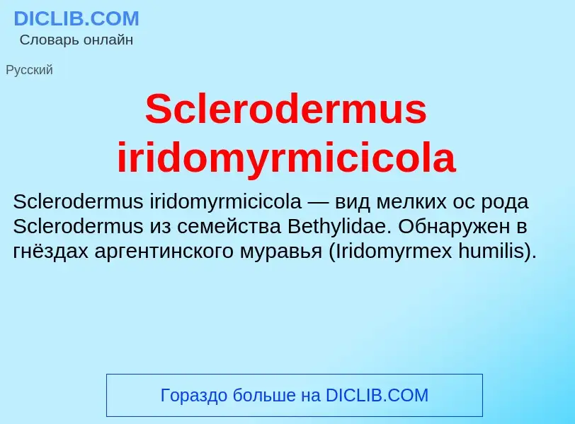 ¿Qué es Sclerodermus iridomyrmicicola? - significado y definición