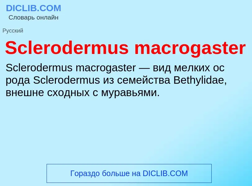 ¿Qué es Sclerodermus macrogaster? - significado y definición